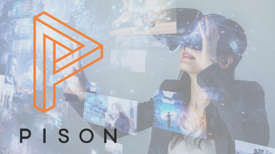 NSIN Alumni Spotlight: Pison
